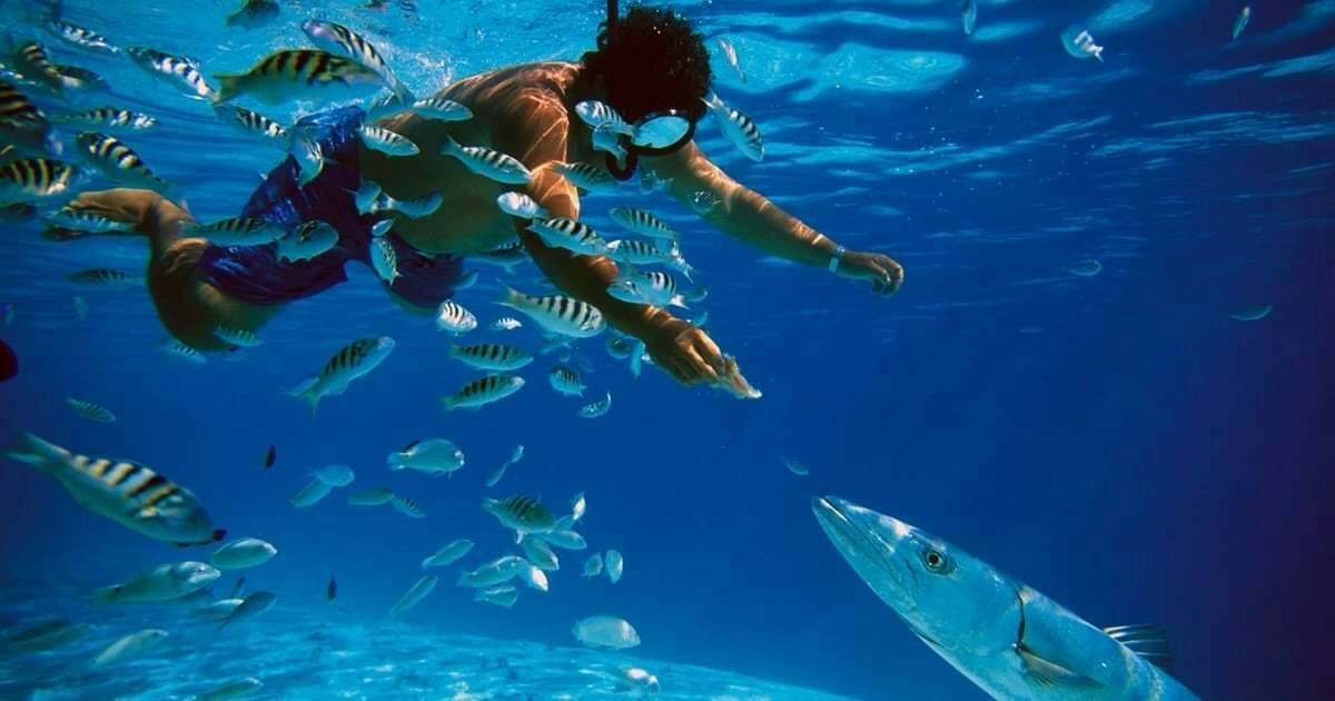 Marinarium