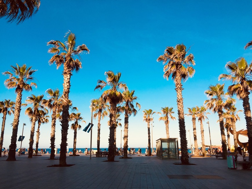 Place La Barceloneta