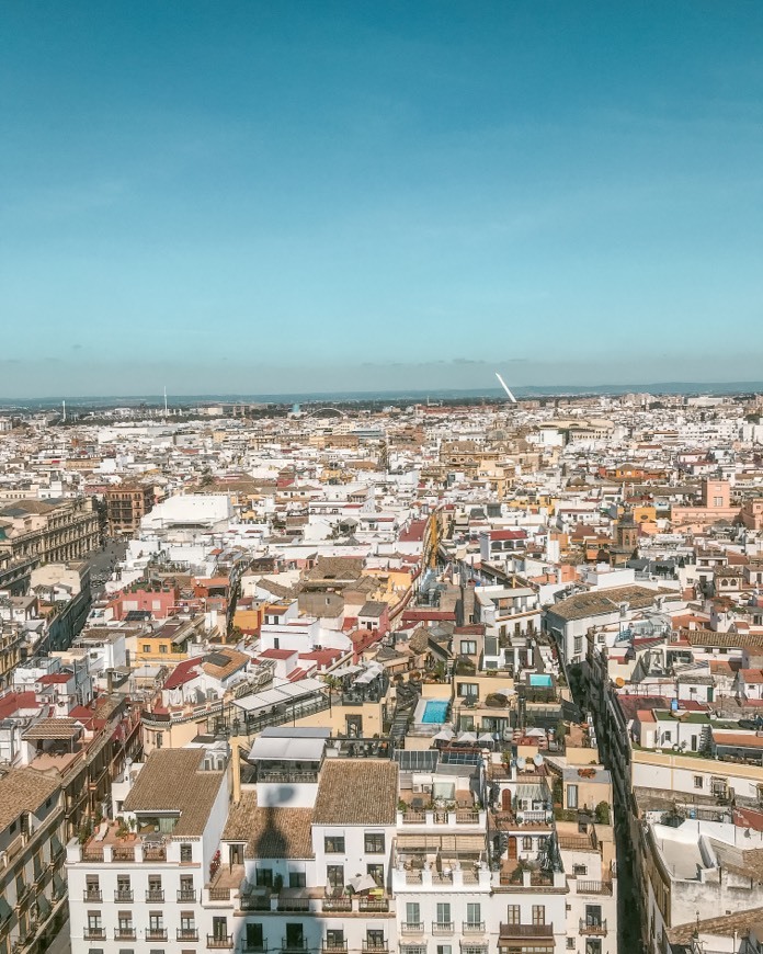 Lugar Catedral de Sevilla