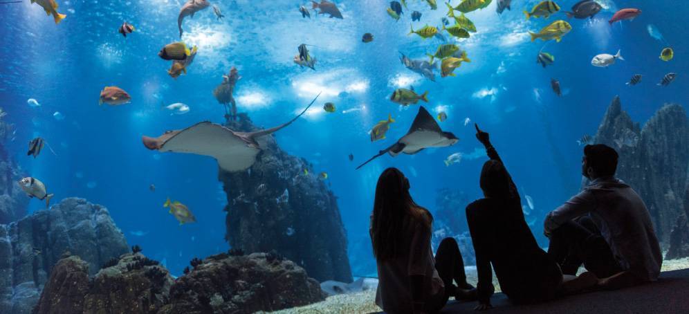 Lugar Oceanário de Lisboa