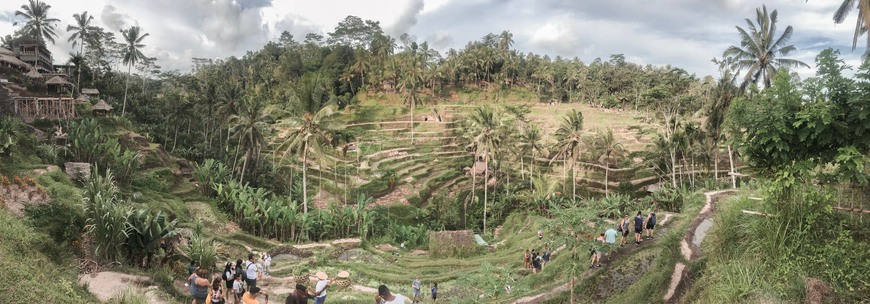 Place Tegallalang Rice Terrace