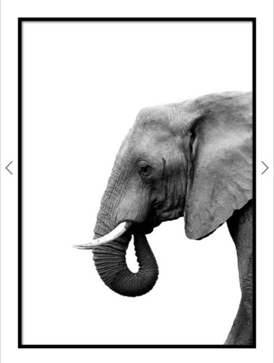 Elefante poster 