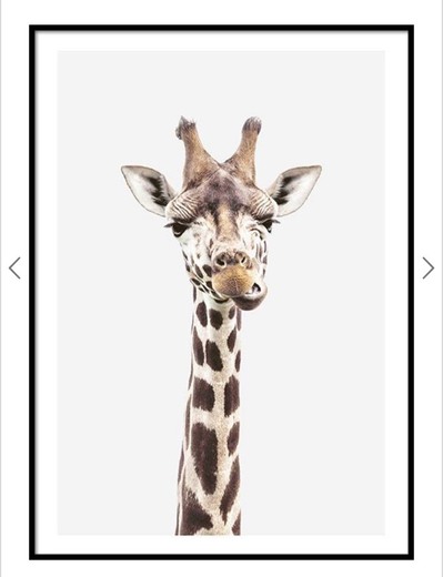 Girafa poster