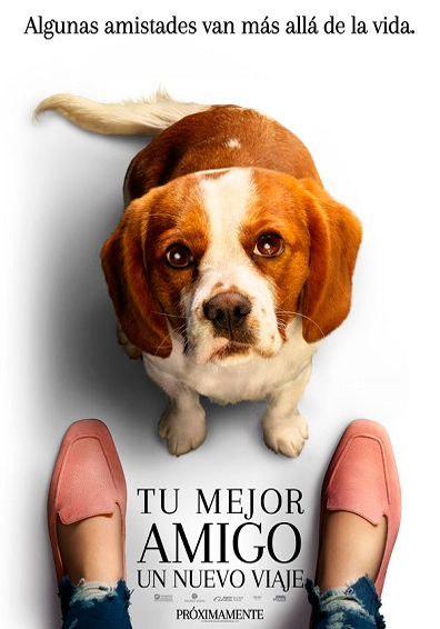 Película Tu mejor amigo: Un nuevo viaje