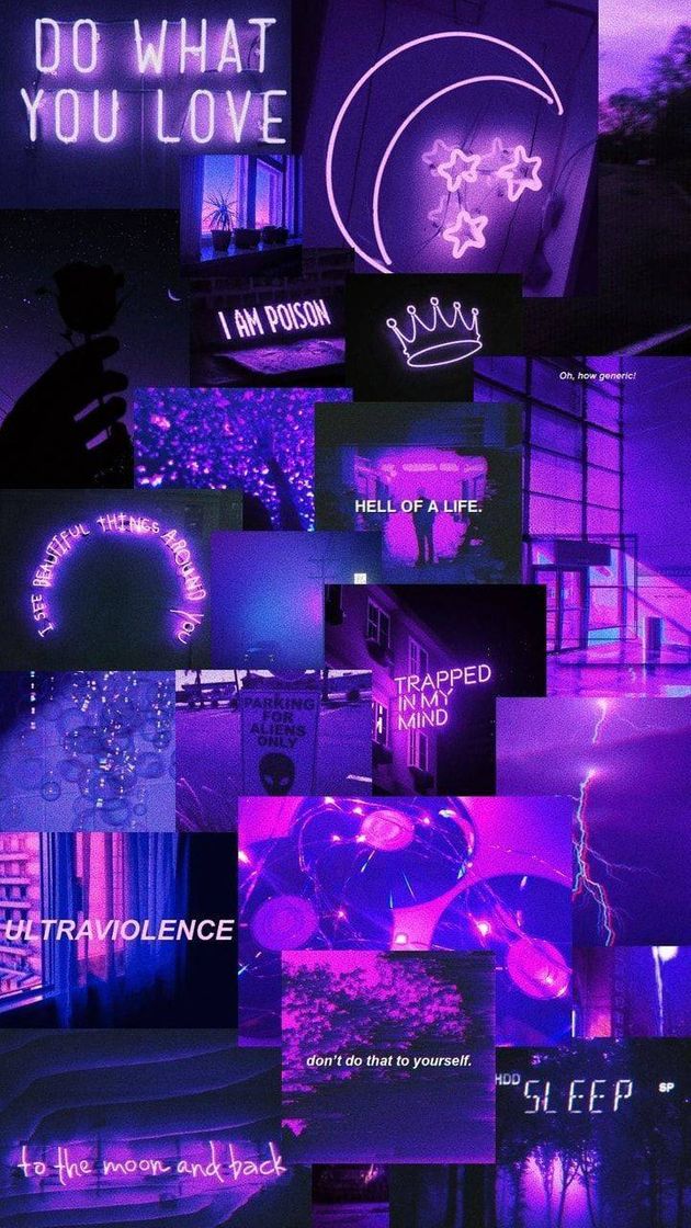 Social Purple