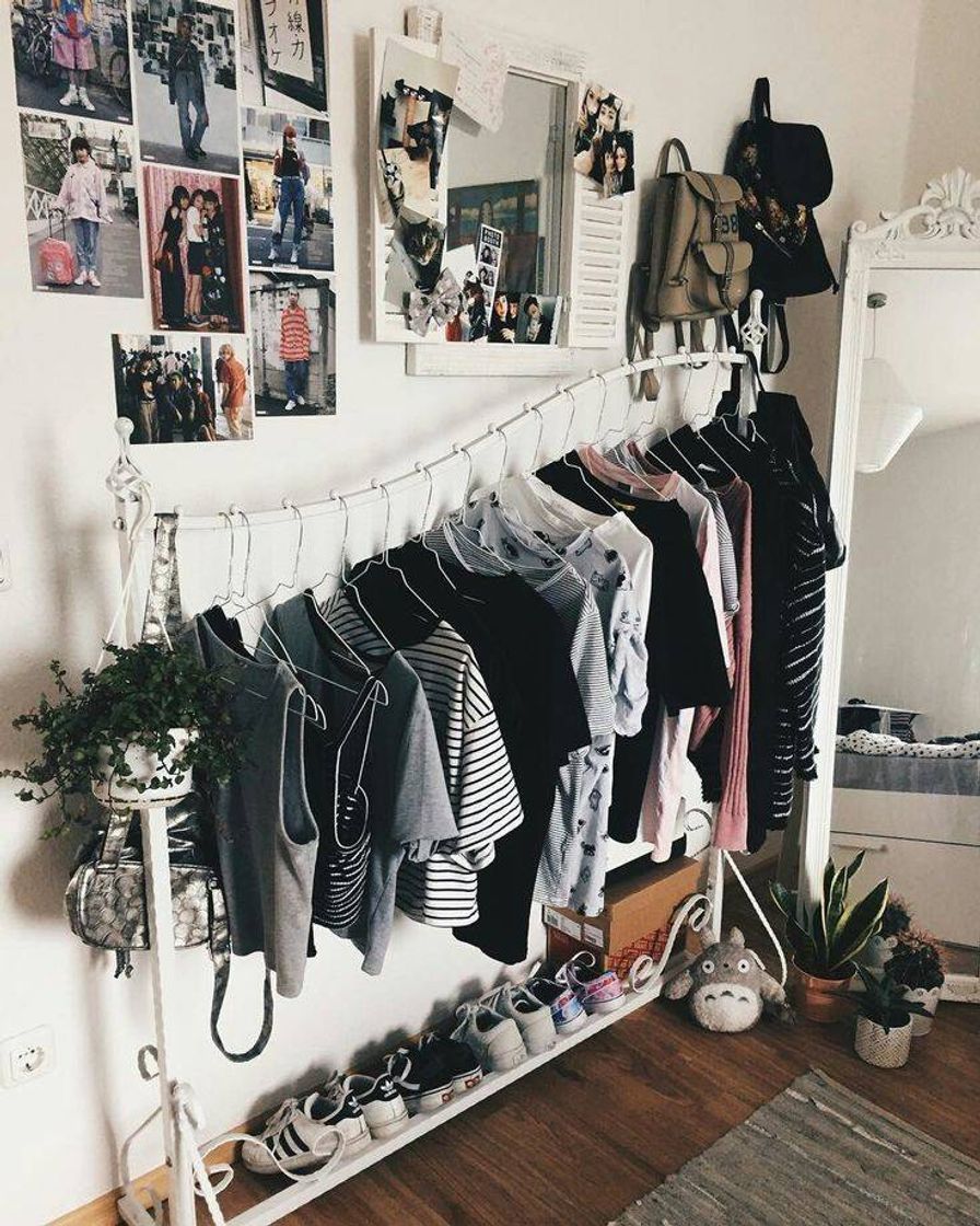 Social Quarto