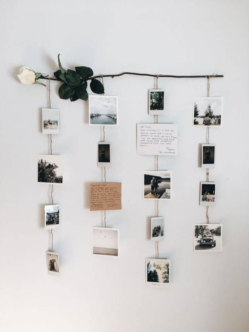 Social Quarto