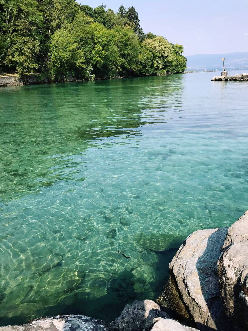 Lugar Lago de Gaube