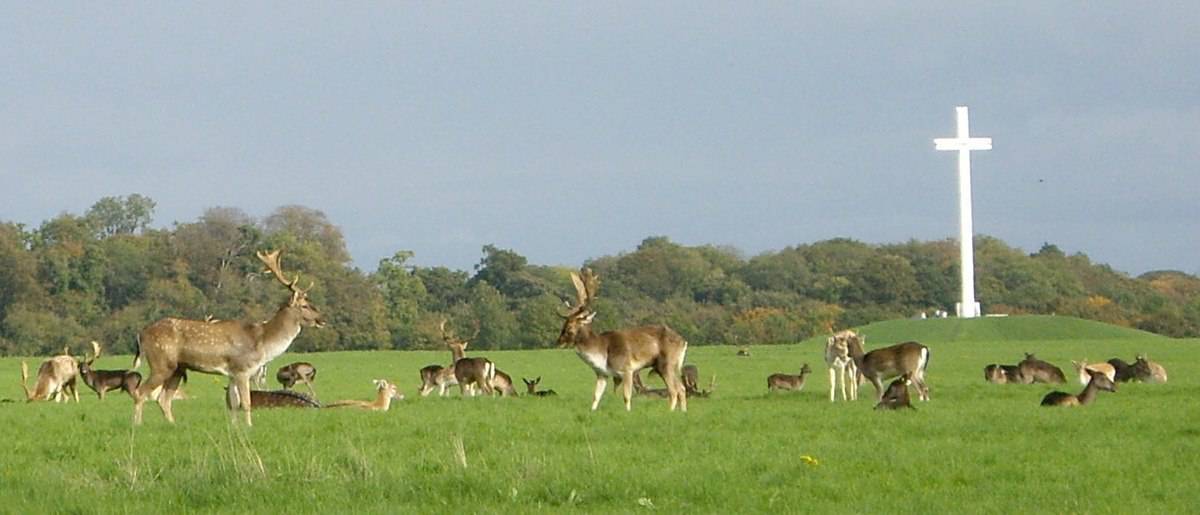 Place Phoenix Park