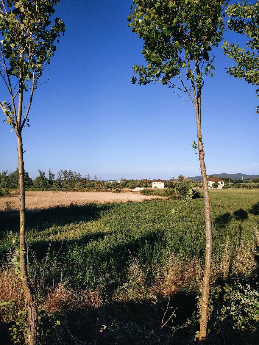 Place Fundão