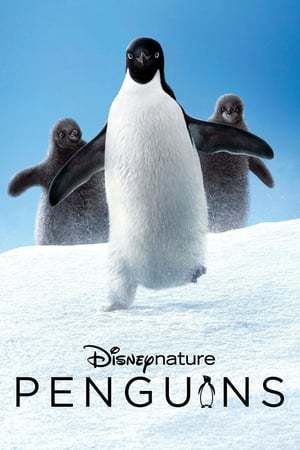 Película Los pingüinos