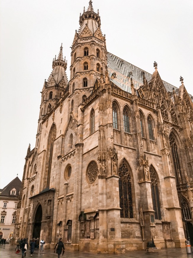 Lugar Catedral de Viena