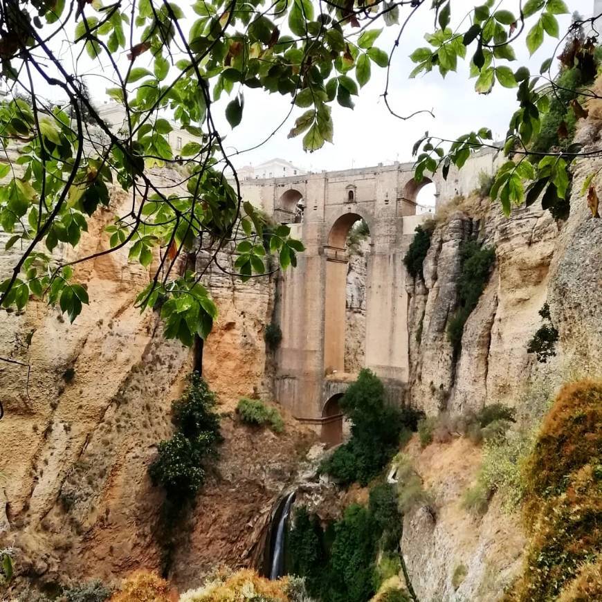 Restaurantes Ronda