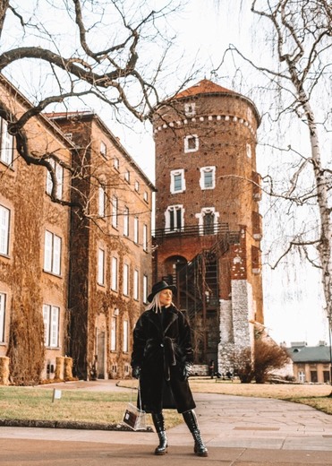 Castillo de Wawel