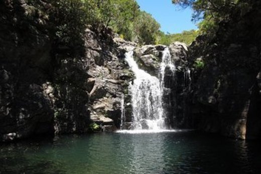 Levada do Alecrim