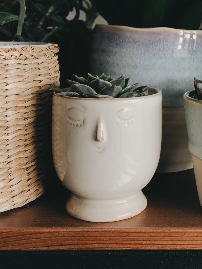 Social Cute Face Plant Pot