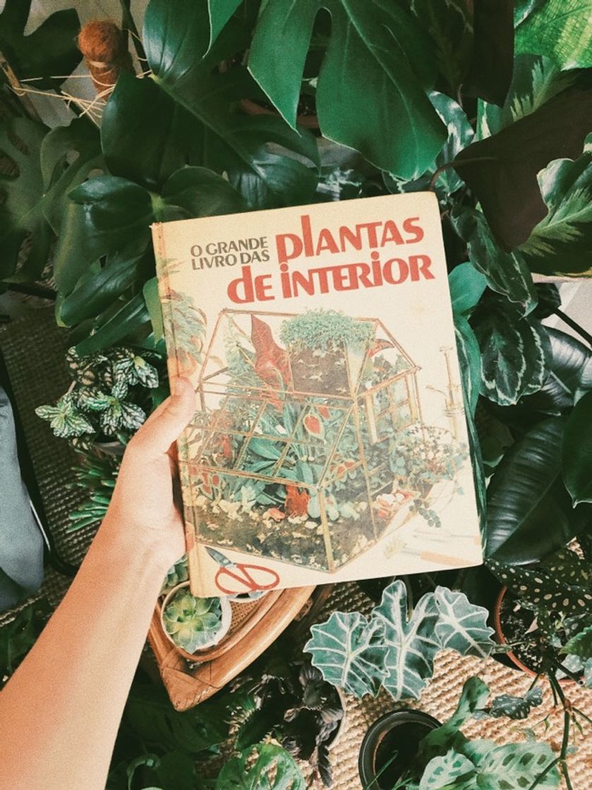 Moda O Grande Livro das Plantas de Interior 🌿