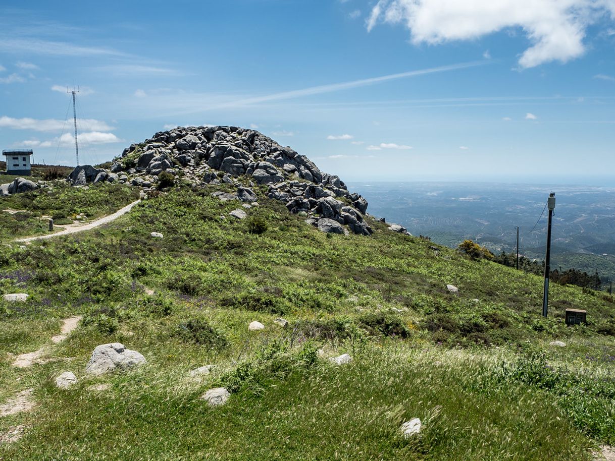 Lugar Viewpoint of the FOIA