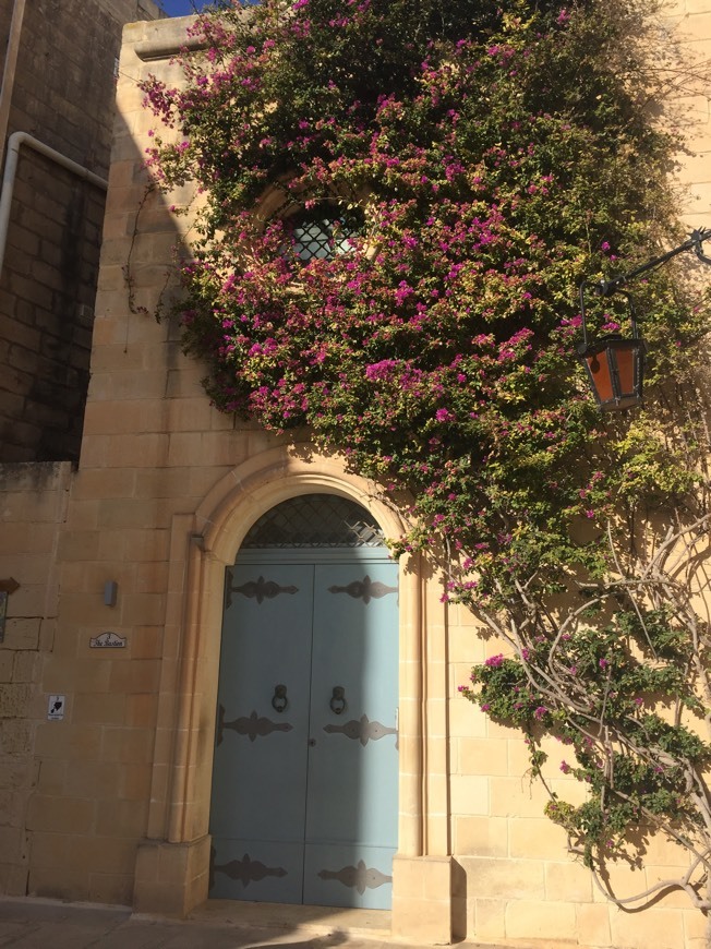 Place Mdina