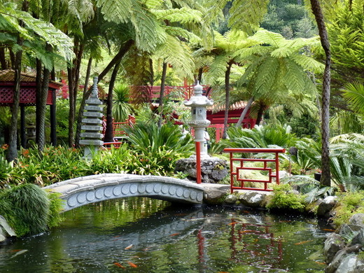 Jardim Tropical de Monte
