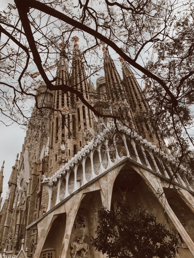 Lugar Sagrada Familia