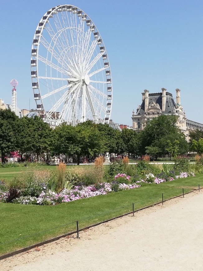 Place París