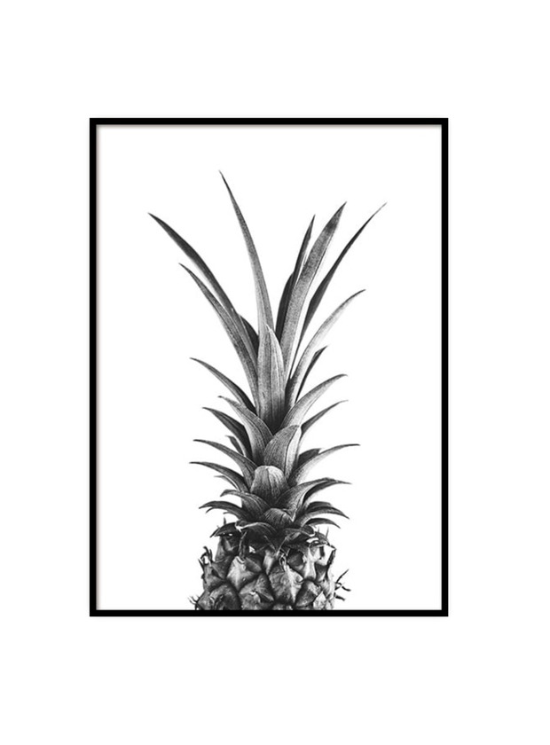 Product Pineapple B&W