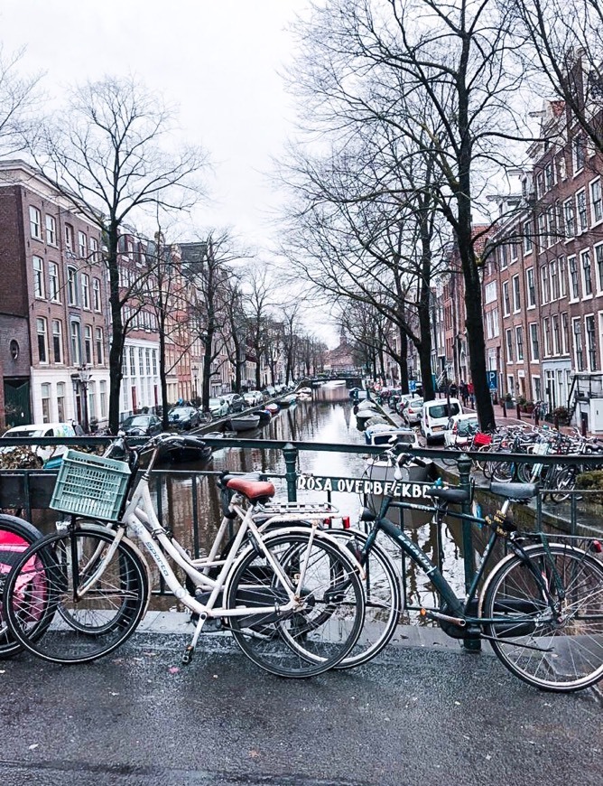 Place Canales de Ámsterdam