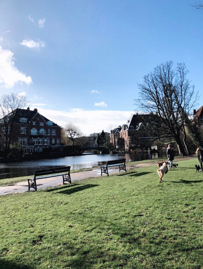 Restaurants Vondelpark