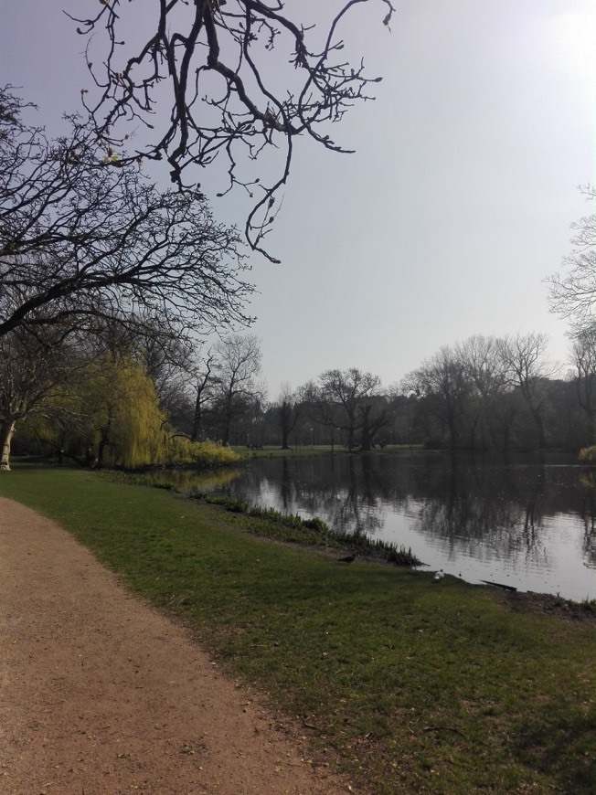 Restaurants Vondelpark