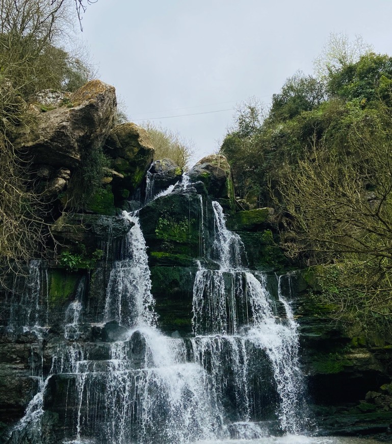 Lugar Cascata de Fervença