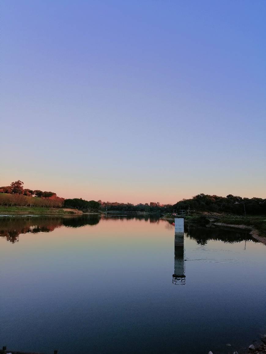 Place Bar Barragem Dos Patudos