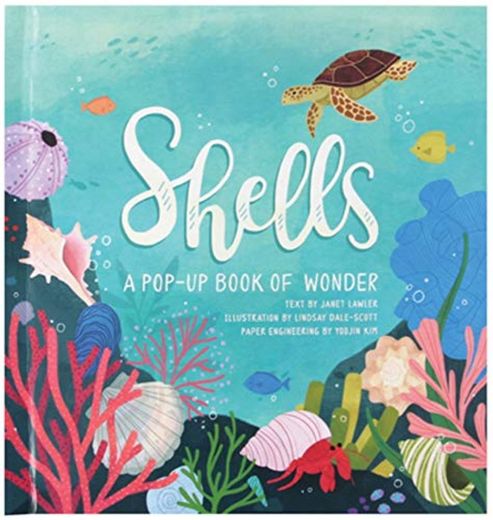 Lawler, J: Shells: A Pop-Up Book of Wonder