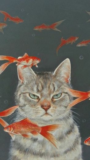 Wallpaper cat fish