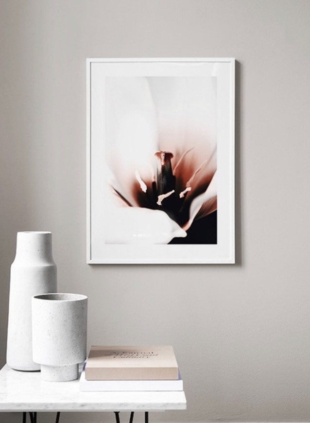 Product Tulip Close Up Poster