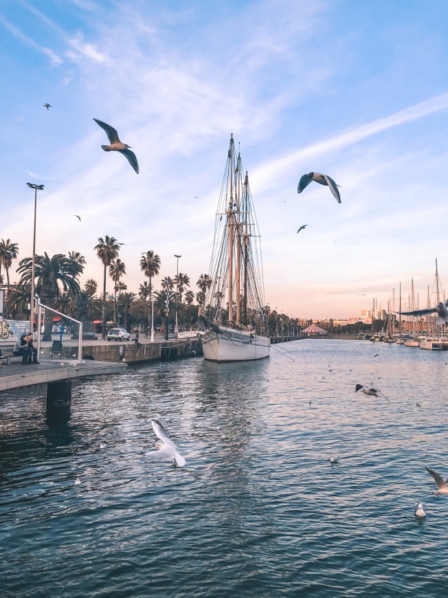 Place Port Vell