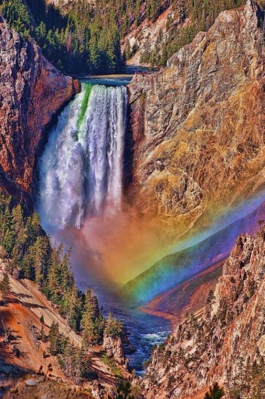 Lugar Parque Nacional Yellowstone