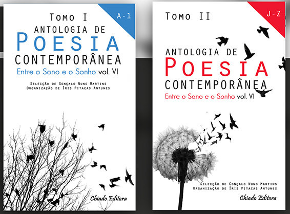 Book Antologia de Poesia Contemporânea 