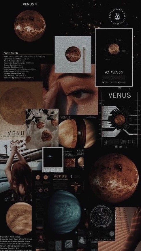 Social venus