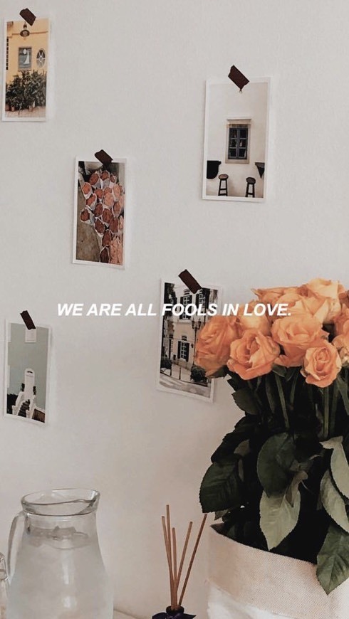 Social fools in love