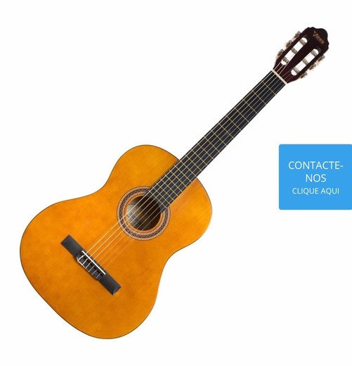 Violão/guitarra 