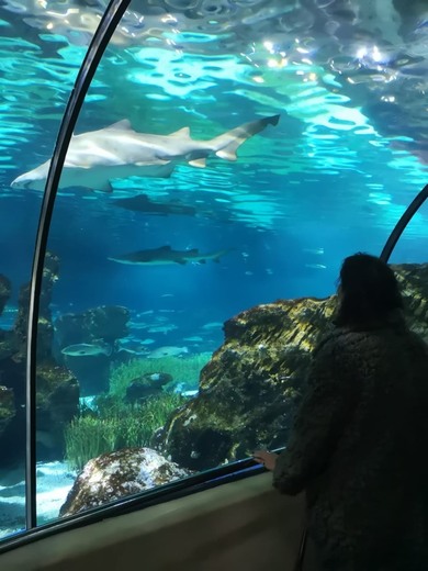 Aquarium de Barcelona Barcelona