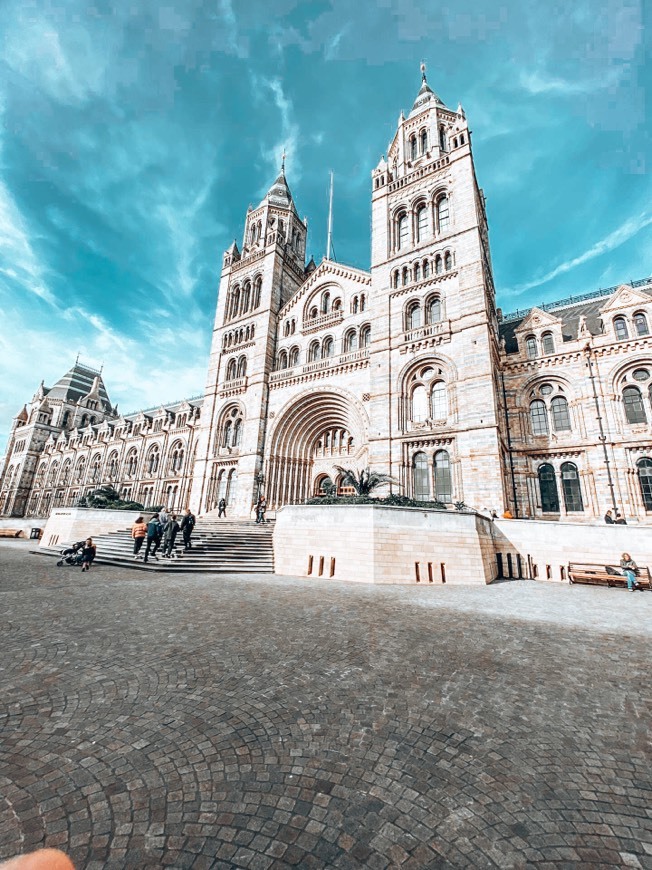 Place Natural History Museum