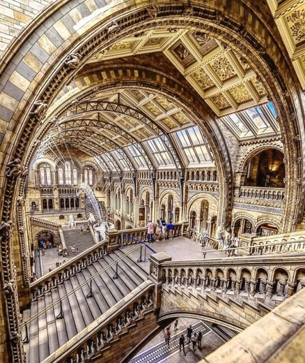 Natural History Museum