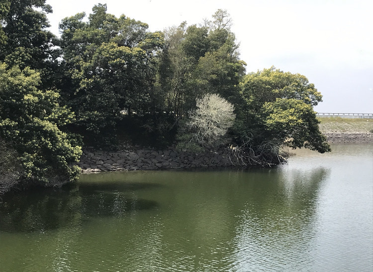 Lugar Barragem de Montargil