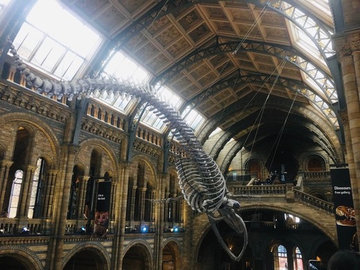 Natural History Museum