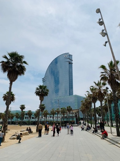 La Barceloneta