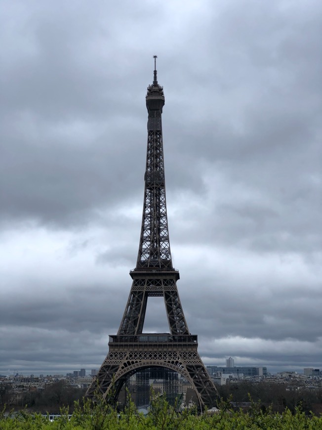 Fashion Torre Eiffel 