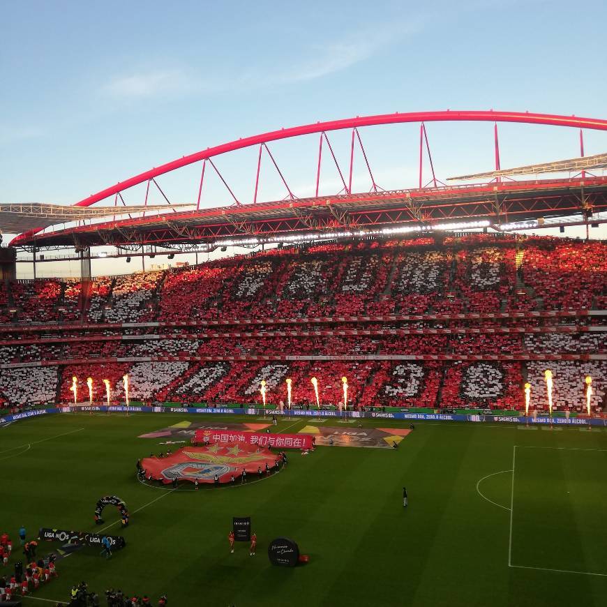 Place Estádio Sport Lisboa e Benfica