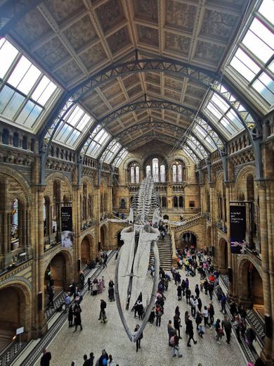 Natural History Museum 